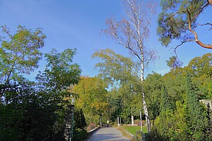 Ein Blick auf den Plötzensee mit seinem Sandstrand und einigen weißen Gebäuden. Die Bäume am Ufer haben herbstliche Farben, und der See erstreckt sich ruhig in den Vordergrund.