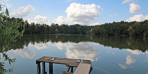  Blick vom Steig auf den Boddensee 