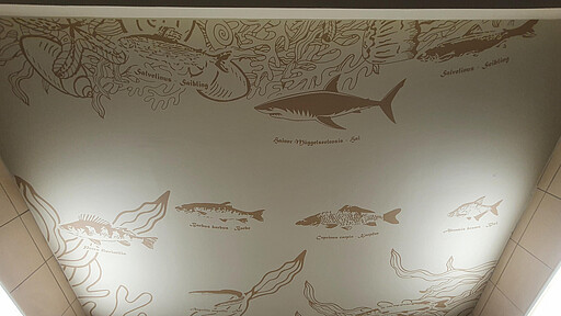 Bahnhof Erkner Hainer Müggelseelensis