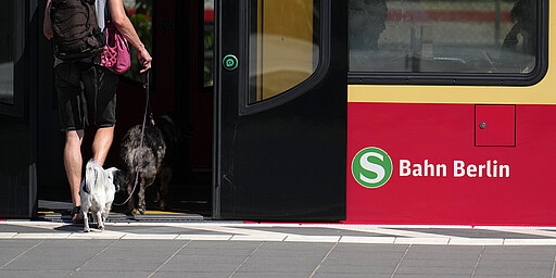 Einstieg mit Hund Einstieg mit Hund