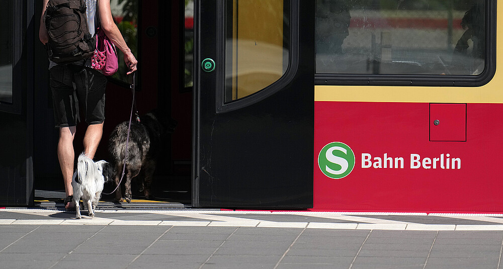 Einstieg mit Hund Einstieg mit Hund