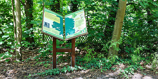 
    
        Der 1,3 Kilometer lange Waldweg beginnt am Parkplatz an der Fangschleusenstraße.
    
