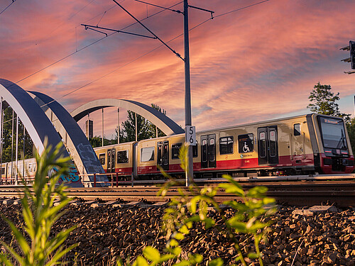 Gewinnerbild des Fotogewinnspiels