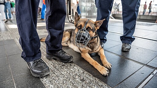 Eröffnung S-Bahnwache Ostkreuz Schutzhund "Teufel" hat Dienst am Ostkreuz