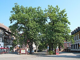 Eichwalde Bahnhofstraße