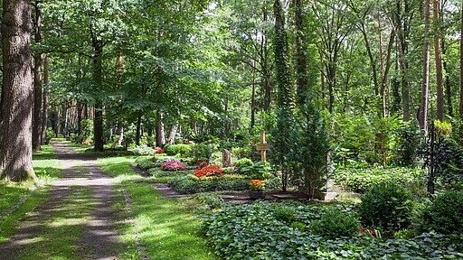 Waldfriedhof Zehlendorf Weg auf dem Waldfriedhof Zehlendorf