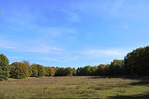 Eine weite, offene Wiese im Volkspark Rehberge, eingerahmt von Bäumen in sattem Grün und Herbstfarben. Der blaue Himmel erstreckt sich klar und wolkenlos über die Landschaft.