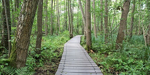  Weg durch das grüne Briesetal 