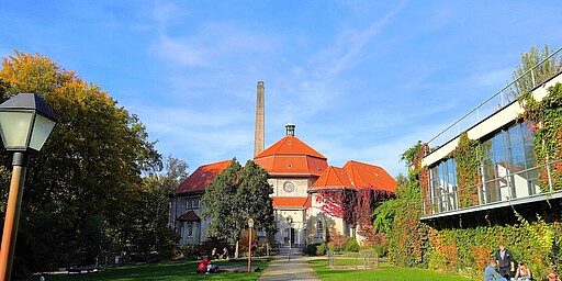 Hauptgebäude des Silent Green Kulturquartiers Eine weitläufige grüne Wiese vor dem Hauptgebäude des Silent Green Kulturquartiers mit rotem Dach und einem hohen Schornstein. Links und rechts rahmen Bäume das Gebäude ein. Einige Personen entspannen auf der Wiese oder sitzen auf Bänken, die von der Herbstsonne beschienen werden.