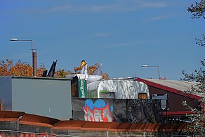 Ein lebhafter Blick auf das Gelände der Heideglühen Diskothek in Berlin. Im Vordergrund ist ein mit Graffiti bemaltes Gebäude, während im Hintergrund ein riesiger, aufblasbarer Vogel über den Dächern thront. Bunte Herbstblätter setzen farbliche Akzente.