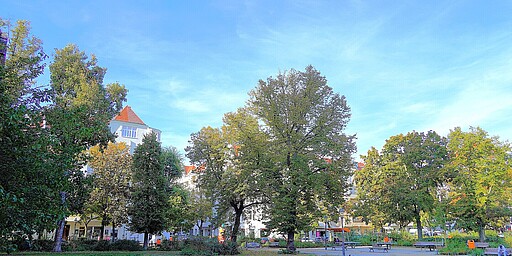 Grünes Herz am Leopoldplatz Eine weitläufige Grünfläche auf dem Leopoldplatz in Berlin, umgeben von hohen Bäumen und mehrstöckigen Gebäuden mit rotem Ziegeldach. Im Vordergrund ein gepflegter Rasen, während im Hintergrund einige Sitzgelegenheiten und Menschen zu sehen sind. Der Himmel ist strahlend blau und verleiht dem Platz eine freundliche Atmosphäre.