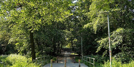  Eine kleine Fußgängerbrücke aus Beton mit Metallgeländern, die durch eine grüne, bewaldete Landschaft im Bellevuepark führt. Im Hintergrund erstreckt sich ein dichter Wald mit üppigem Blattwerk. 