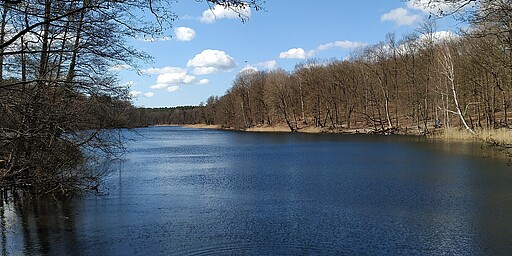 Krumme Lanke