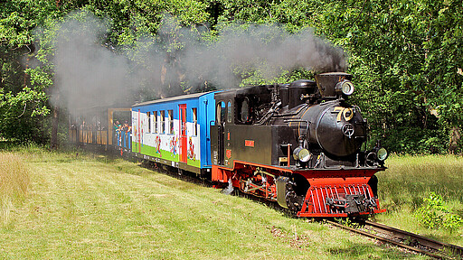 Herbstprogramm Parkeisenbahn Die Berliner Parkeisenbahn fährt bis 1. November an allen Wochenenden durch die herbstliche Wuhlheide.