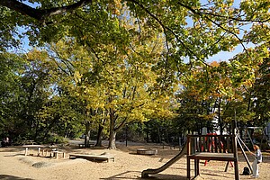 Ein Spielplatz in Moabit, Berlin, umgeben von herbstlich gefärbten Bäumen. Im Vordergrund sind eine Holzrutsche und ein Sandbereich zu sehen, während goldenes Sonnenlicht die Blätter erleuchtet.