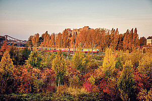 481 series S-Bahn train in Berlin