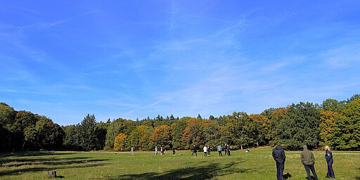 Große Wiese im Volkspark Rehberge Eine große, grüne Wiese im Volkspark Rehberge mit Menschen, die spazieren gehen und das herbstliche Wetter genießen. Im Hintergrund farbenfrohe Bäume unter einem klaren, blauen Himmel.