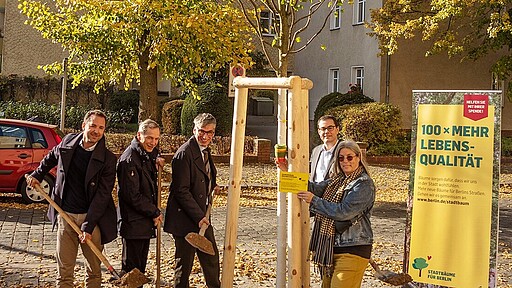 „Mein Becher für Berlin“ macht’s möglich So sieht der frisch gepflanzte „Eine-Million-Euro-Baum“ in Pankow aus.