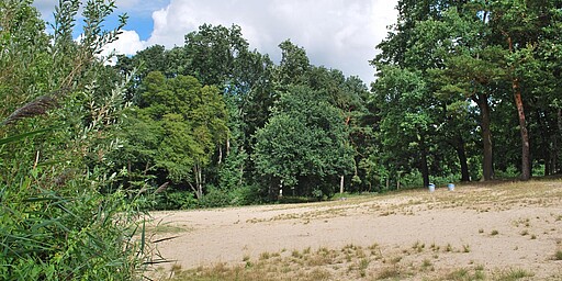 Station 4: Rodelberge