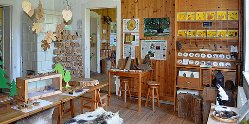 Station 1: Waldmuseum