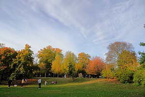 Ein weitläufiger Park mit grünem Rasen und Bäumen in leuchtenden Herbstfarben. Menschen entspannen sich oder gehen spazieren.