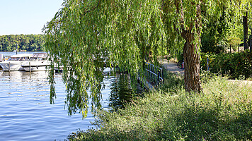 Zeuthener Seepromenade Zeuthener Seepromenade