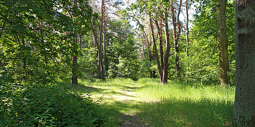 Station 2: Wuhlheide