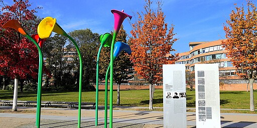 Denkmal der bunten Blüten – Erster Blick  Eine künstlerische Installation in einem Park zeigt übergroße, farbenfrohe Blüten in leuchtenden Gelb-, Rot-, Grün- und Blautönen, die an langgezogenen, geschwungenen grünen Stielen befestigt sind. Im Hintergrund stehen Bäume in Herbstfarben und moderne Gebäude. Daneben befinden sich Informationstafeln mit Texten und Bildern über die erste homosexuelle Emanzipationsbewegung.