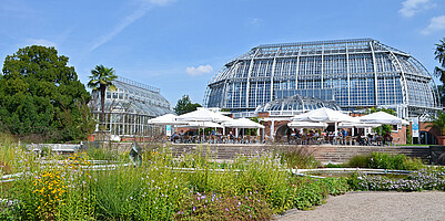 Station 7: Botanischer Garten