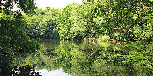 Station 2: Hubertussee  Der Hubertussee ist der nördlichste See Berlins. 1910 wurde er im Zuge des Baus der Gartenstadt Frohnau aus einem Tümpel geschaffen. Entstanden ist ein idealer Ort, um eine Rast mit Blick aufs Wasser zu machen. Das Baden ist hier aber leider nicht gestattet.