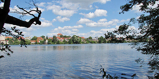  Der Straussee 