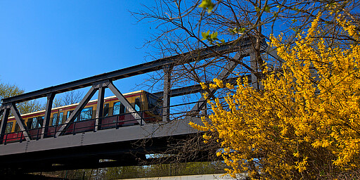 S7 an der Böckmannbrücke vor Griebnitzsee
