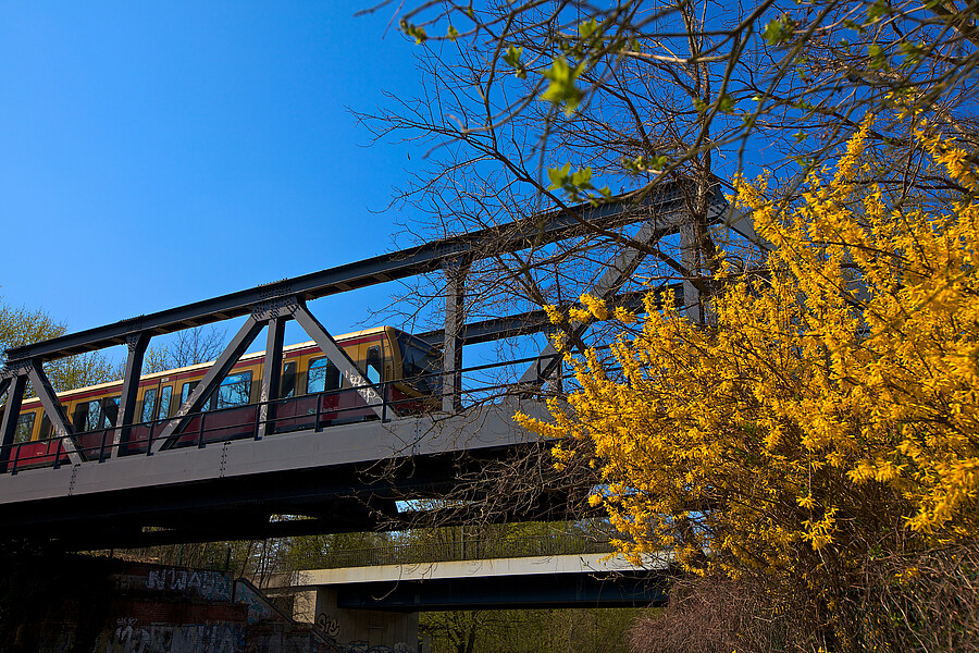 S7 an der Böckmannbrücke vor Griebnitzsee