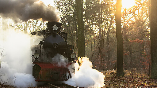 Parkeisenbahn Wuhlheide