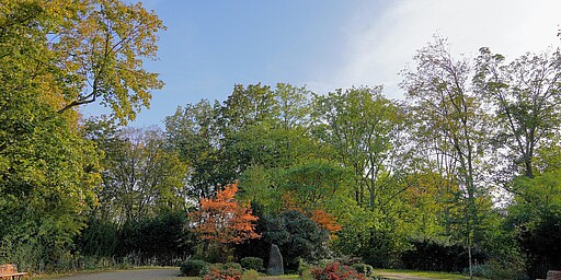 Eine weitläufige Parkfläche mit einem zentralen Blumenbeet und buntem Herbstlaub. Im Hintergrund stehen hohe Bäume, die in warmen Gelb-, Rot- und Grüntönen leuchten. Zwei Holzbänke stehen am Rand des Weges, der sich durch den Park schlängelt.