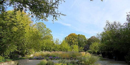 Herbstlicher Garten im Kleinen Tiergarten Ein gepflegter Garten mit herbstlich gefärbten Büschen und Gräsern erstreckt sich unter einem strahlend blauen Himmel. Die Bäume im Hintergrund zeigen leuchtende Gelb- und Grüntöne, und ein schmaler Weg führt durch die Szene.