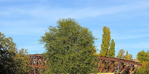 Historische Liesenbrücke mit S-Bahn-Zug in Berlin Eine historische Stahlbrücke, die Liesenbrücke, überspannt Gleise, während ein gelb-roter Berliner S-Bahn-Zug vorbeifährt. Im Hintergrund Bäume in Herbstfarben und ein klarer, blauer Himmel.