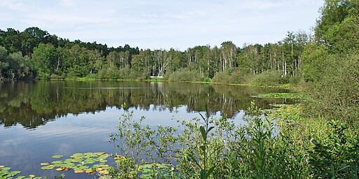 Station 5: Teufelssee