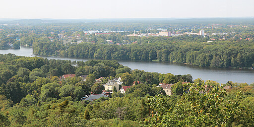Station 5: Aussichtsturm Kranichsberg  Von hier hat man einen einmaligen Blick über die Wälder und Seen der Umgebung.