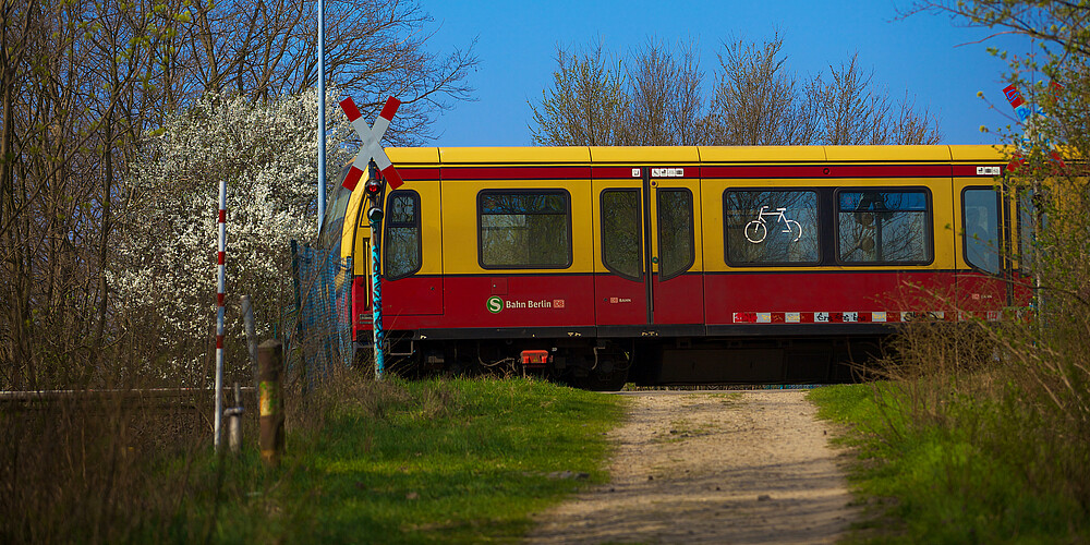S-Bahn Linie S2 bei Lichtenrade im Frühling