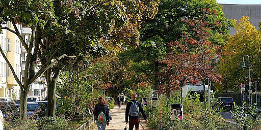 Herbstlicher Spaziergang im Samariterviertel Zwei Menschen spazieren einen schmalen Gehweg entlang, der von dichten Bäumen und buntem Herbstlaub flankiert wird. Auf der linken Seite sind parkende Autos und Wohnhäuser zu sehen. Im Hintergrund geht der Weg weiter in die Ferne, während die Sonne durch die Blätter scheint.