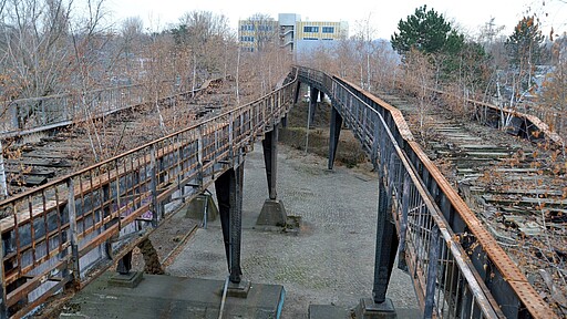 Siemensbahn Blick in Richtung Jungfernheide: Birken sprießen zwischen den Bahnschwellen.