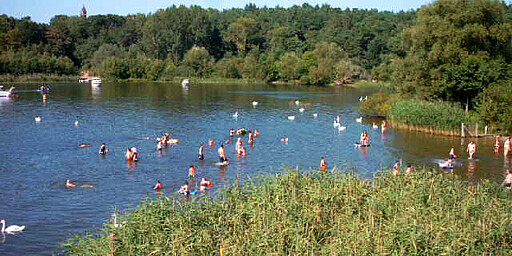 Badesee Lieper Bucht