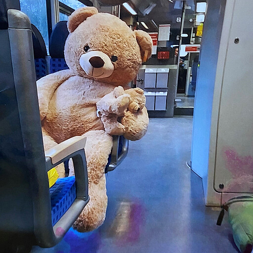Verkehrserhebung Riesen-Teddy auf S-Bahnsitz