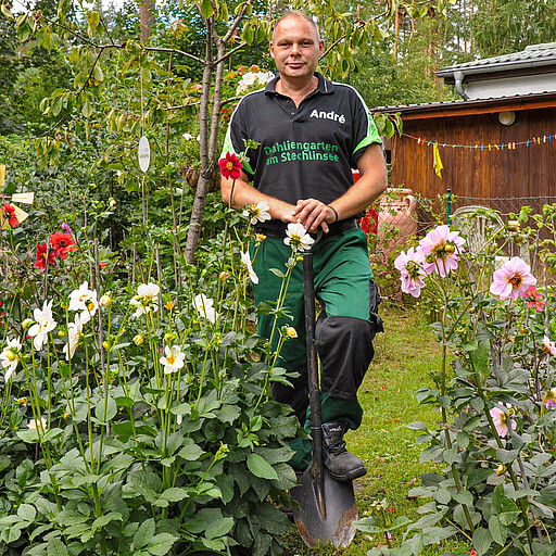 S-Bahner und ihre Hobbys: André Kretzer André Kretzer in seinem Dahliengarten