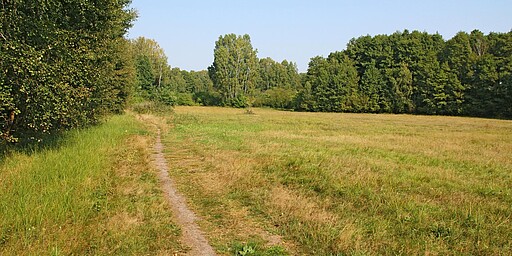Station 4: Naturpark Barnim