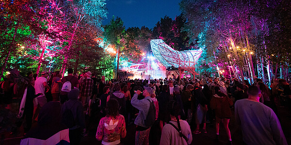 Wurzelfestival nachts