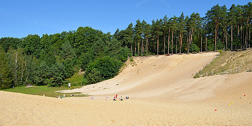 Station 2: NSG Sandgrube im Jagen 86
