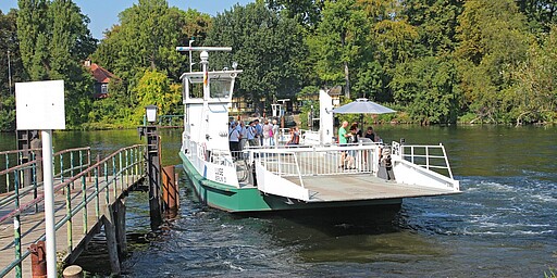 Fähre zur Pfaueninsel