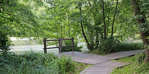 Künstlicher angelegt See, um den Briesefluss zu regulieren 